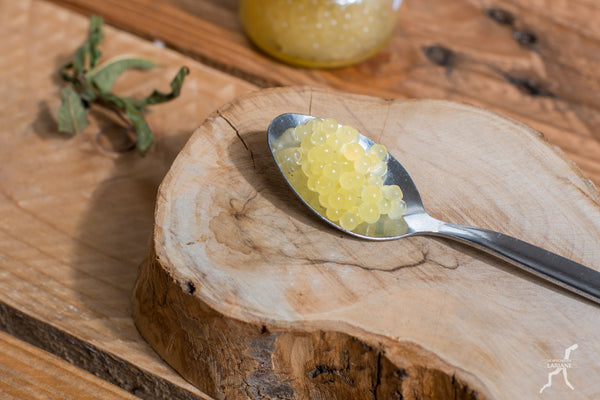 Caviale d'acqua dolce